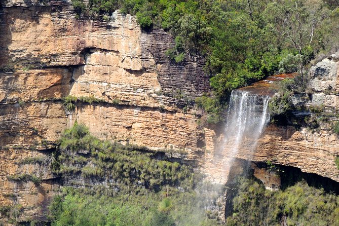 Private Blue Mountains Insider Tour from Sydney - Blue Mountains Botanic Gardens: a calmer pause in the middle of viewpoints