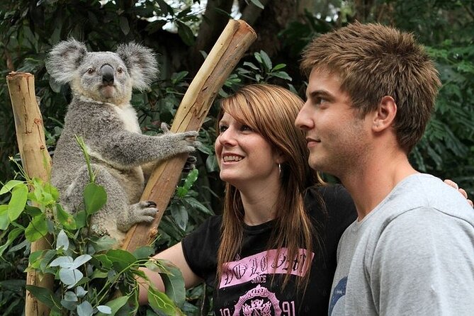 PRIVATE Blue Mountains Scenic World Australian Wildlife & Cruise - Key Highlights You’ll Actually Feel