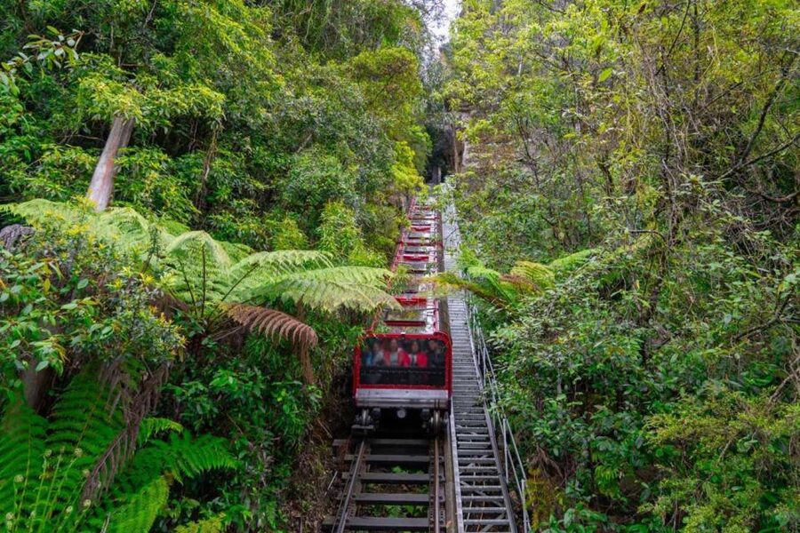 Private Blue Mountains, Scenic World & Wentworth Falls Tour - Who this tour is for (and who should reconsider)