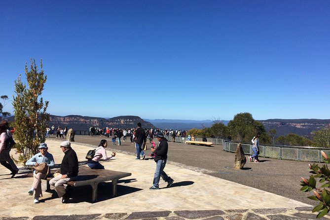PRIVATE Blue Mountains tour & Koalas, Kangaroos, Cruise plus more - Blue Mountains Forest Walk and Culture, Before the Main View Circuit