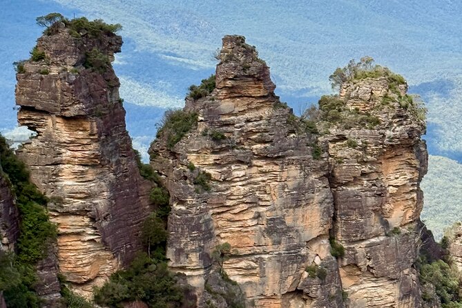 PRIVATE Blue Mountains tour & Koalas, Kangaroos, Cruise plus more - Leura’s Garden Village Pause, Where You Can Reset