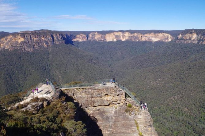 PRIVATE Blue Mountains tour & Koalas, Kangaroos, Cruise plus more - Pickup, Timing, and How to Avoid a Stressy Morning