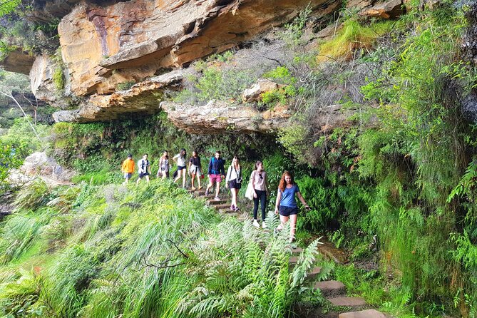 PRIVATE Blue Mountains Tour, Wildlife Park and River Cruise - Katoomba, Leura, and Scenic World: the breaks that keep the day from burning out