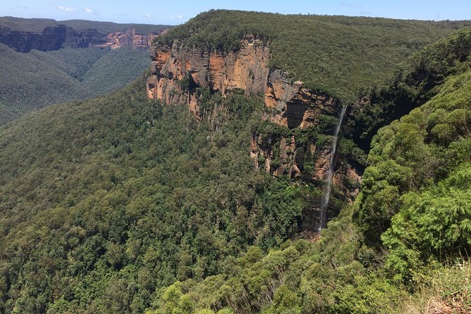 PRIVATE Blue Mountains Tour with Expert Guide - Why a private Blue Mountains day beats the big-group scramble