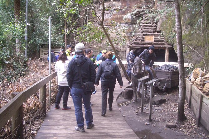 PRIVATE Blue Mountains Tour with Expert Guide - Echo Point: the classic canyon view that tells you the story
