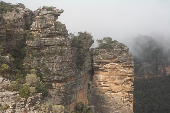 PRIVATE Blue Mountains Tour with Expert Guide - Scenic World: views down low, and your chance to choose your level