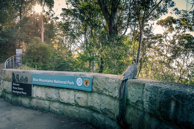 PRIVATE Blue Mountains Wilderness & Wildlife Late Start Tour - Late start strategy, and why it matters for Echo Point