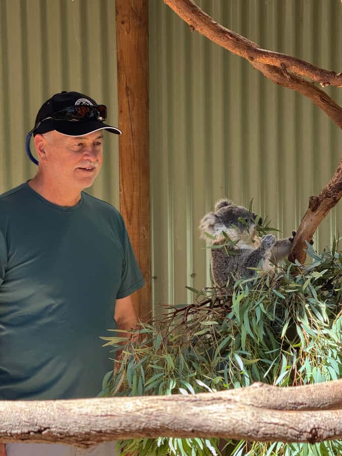 Private BlueMountains, ScenicWorld & AustralianWildlife Tour - Featherdale Wildlife Park: Koala Photos Plus Kangaroos, Up Close