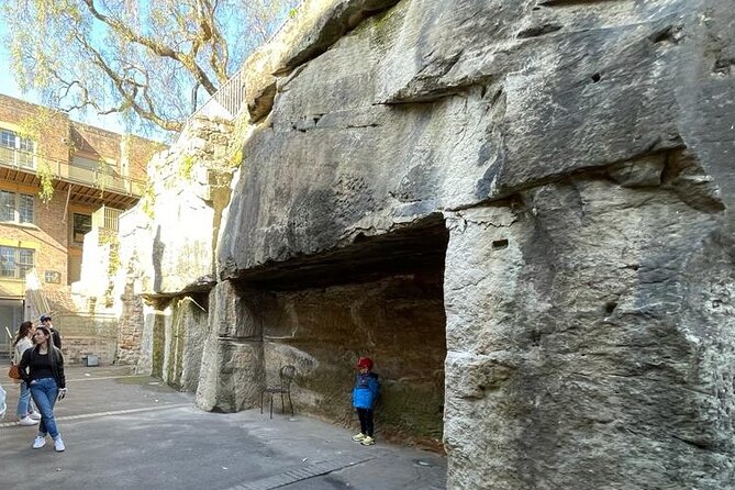 Private City Tour: Best of Sydney - Bondi Beach and the Iceberg Pools, then back via Paddington