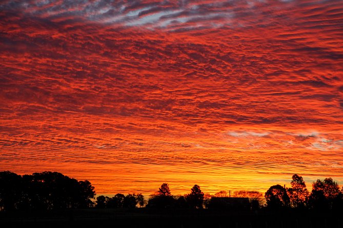 Private full-day wine tour in the Hunter Valley - Key highlights I’d plan around