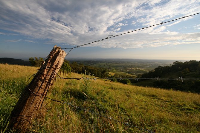 Private full-day wine tour in the Hunter Valley - Who this tour fits best
