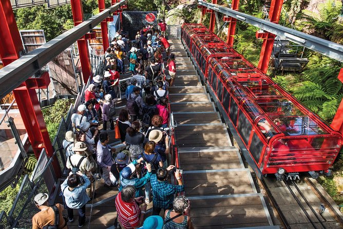 Private Guided Tour: Blue Mountains Tour from Sydney - Cahills Lookout, Wentworth Falls, and the National Pass walk