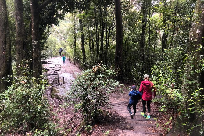 Private Guided Tour from Sydney to Blue Mountains National Park - First real viewpoint: Three Sisters and Eaglehawk Lookout