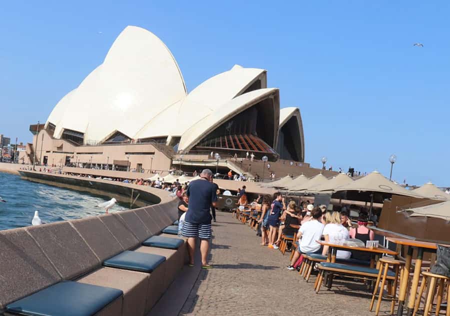 Private Half Day Sydney City Tour - Chinatown and Darling Harbour: your fast orientation