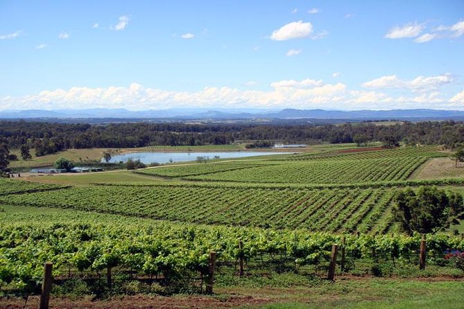 Private Hunter Valley Wine-Tasting Day Tour from Sydney - Key things to know before you go