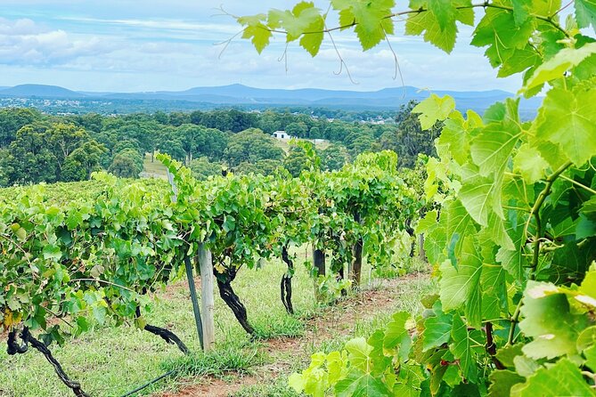 Private Hunter Valley Wine Tasting Tour from Sydney - Hunter Valley Day Trip, Done Like You Mean It
