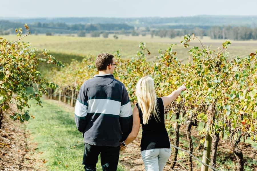Private Hunter Valley Wine Tour Departing from Newcastle - Key things to know before you book