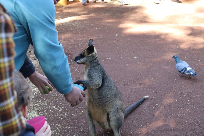 Private Luxury Blue Mountain Tour with Wildlife and River Cruise - Why this private Blue Mountains day feels easier than DIY