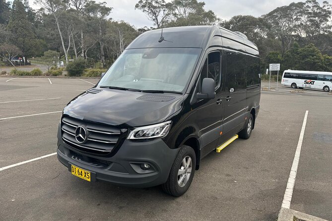 Private Luxury Half Day Sydney City Tour - Chinatown to Darling Harbour to The Rocks: Quick Wins for First-Time Orienting
