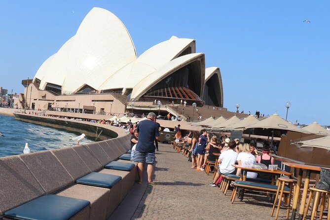 Private Luxury Half Day Sydney City Tour - Price and Value: $132.69 for a Private Ride Plus What Costs Extra
