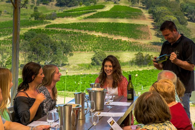 Private Luxury Tour: Tastes of the Hunter Valley - Why This Hunter Valley Day Feels Better Than Driving Yourself