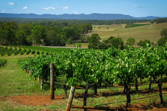 Private Luxury Tour: Tastes of the Hunter Valley - 7:30 am Pickup and the Sydney to Hunter Transfer