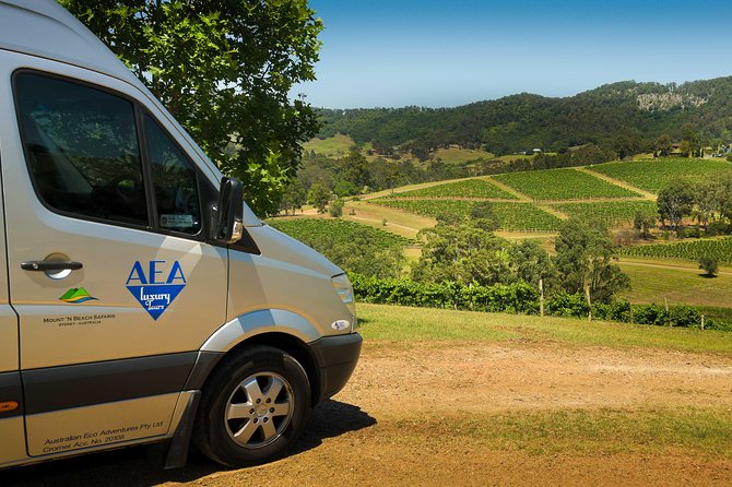 Private Luxury Tour: Tastes of the Hunter Valley - Pokolbin Stop: Two Premium Boutique Wineries With Hands-On Guidance