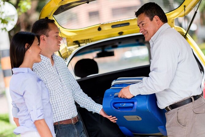 Private One-Way Airport Transfer from Sydney Airport to Sydney - Who this transfer suits best in Sydney