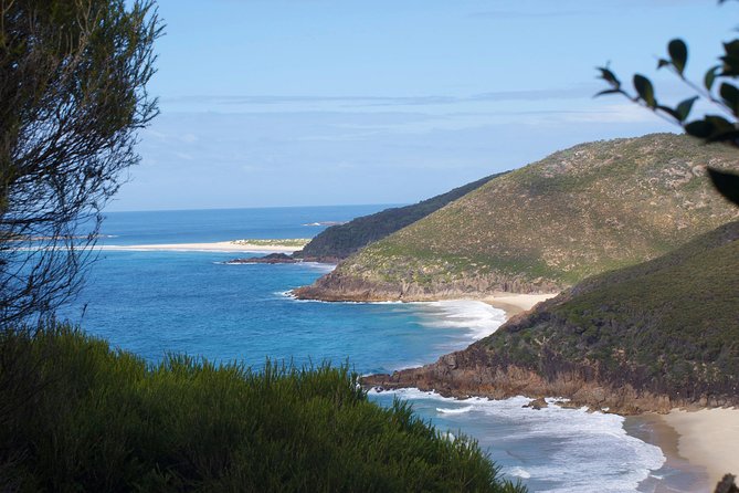 Private Port Stephens Day Trip from Sydney incl Dolphin Cruise - Stockton Sand Dunes and sandboarding: fun option, extra cost