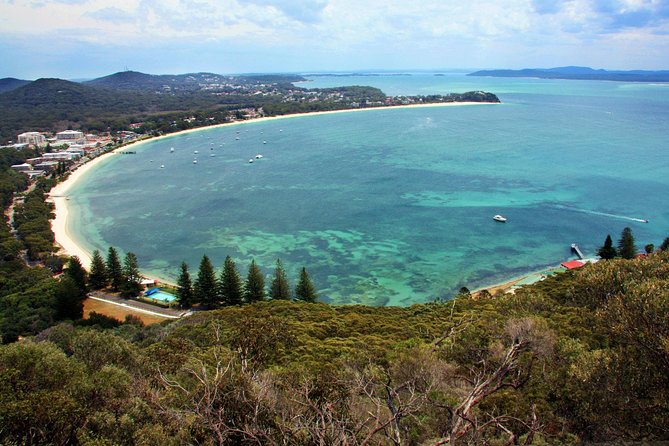 Private Port Stephens Day Trip from Sydney incl Dolphin Cruise - How to make dolphin spotting easier on the day