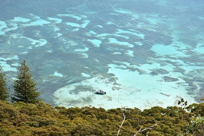 Private Port Stephens Day Trip from Sydney incl Dolphin Cruise - What this day feels like in real time, about 11 hours