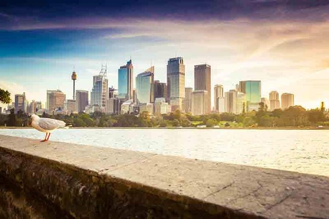 Private Sydney City and Bondi Beach Half Day Tour - Passing Sydney’s early suburb roots and bohemian layers