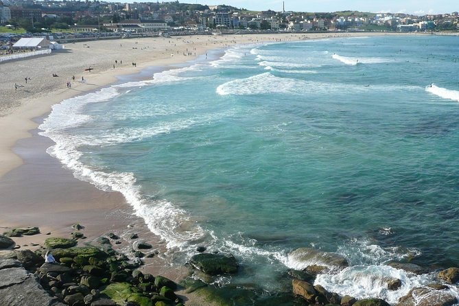 Private Sydney City Tour: The Key Attractions - How a 6-Hour Private Sydney Tour Really Helps