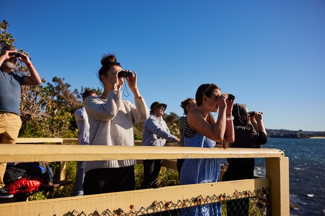 Private Sydney Snorkeling Experience: Explore Cabbage Tree Bay - What’s included in the water: gear, binoculars, and photos