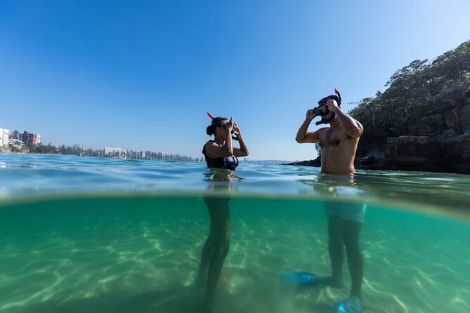 Private Sydney Snorkeling Experience: Explore Cabbage Tree Bay - The biggest practical downsides before you book