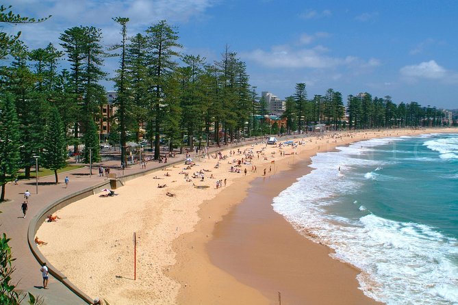 Private Sydney Tour Including Sydney Opera House, Bondi and Manly - The middle of the day: from botanical grounds to Kings Cross stories