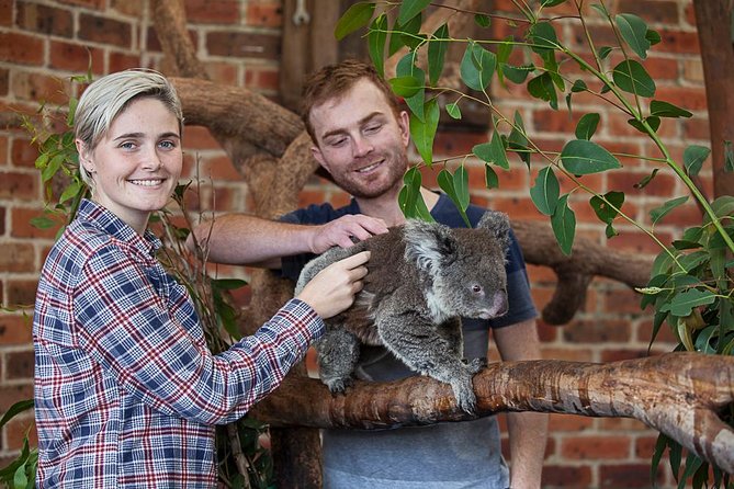Private Tour: Blue Mountains Day Trip from Sydney - A private Blue Mountains day without the Sydney driving headache