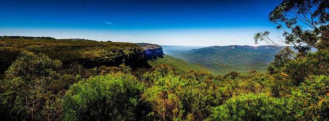 Private Tour: Blue Mountains Day Trip from Sydney - Price and value: what you get for $731.59 per person