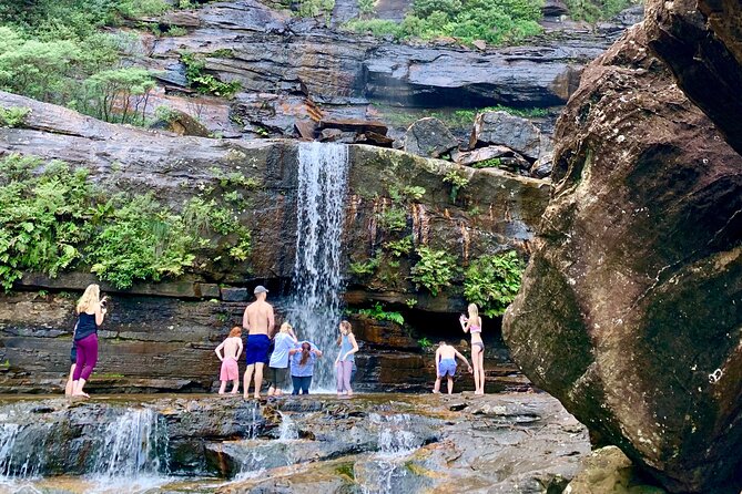 Private Tour: Blue Mountains Hiking & Nature - Stop-by-stop: Lincoln’s Rock to Wentworth Falls Lookout