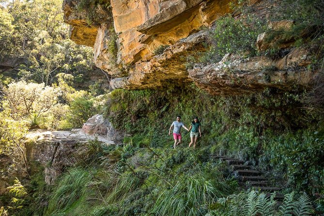 Private Tour: Blue Mountains Hiking & Nature - Value check: $536.14 per person and what that really buys