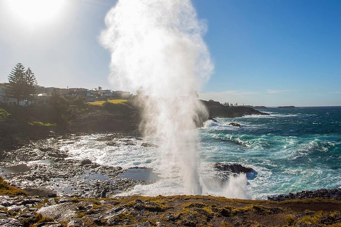 Private Tour: Sydney South Coast & Highlands - Who this private Sydney South Coast and Highlands tour is best for