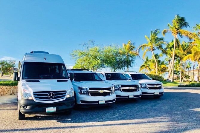 Private Transfer from Sydney Cruise Port to Sydney Airport (SYD) - Getting the Vehicle Right for Your Group and Luggage