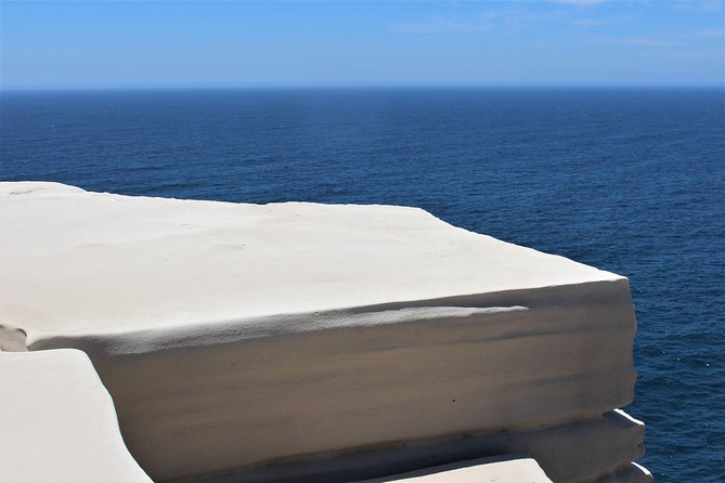 Royal National Park Private Tour - Key highlights that make this tour worth your time