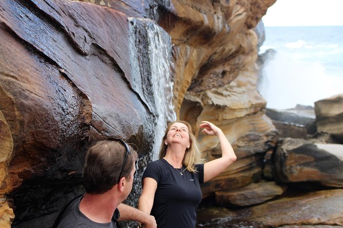 Royal National Park Private Tour - Why Royal National Park feels easier with a private guide