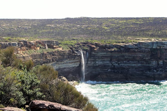 Royal National Park Private Tour - Stop 4: Wattamolla waterfall and lagoon, where the pace cools down