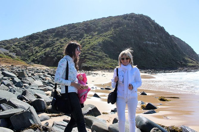 Royal National Park Private Tour - How the day runs, from 8:45 pickup to the last photo stop