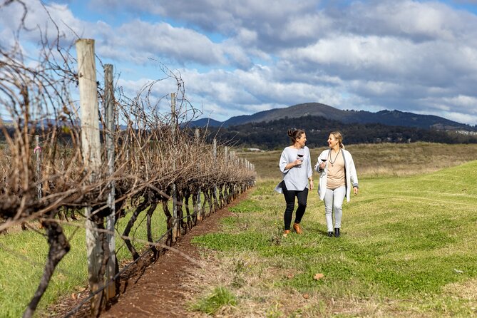 Scenic Hunter Valley Tour with Wine and Cheese Tastings - Where you start in Sydney, and how the day gets rolling