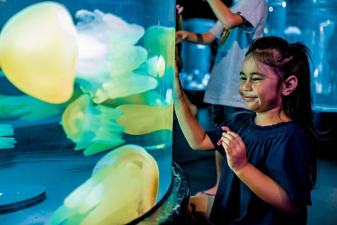 SEA LIFE Sydney Aquarium Entrance Ticket - Entering the aquarium: the timed slot mindset and your best route