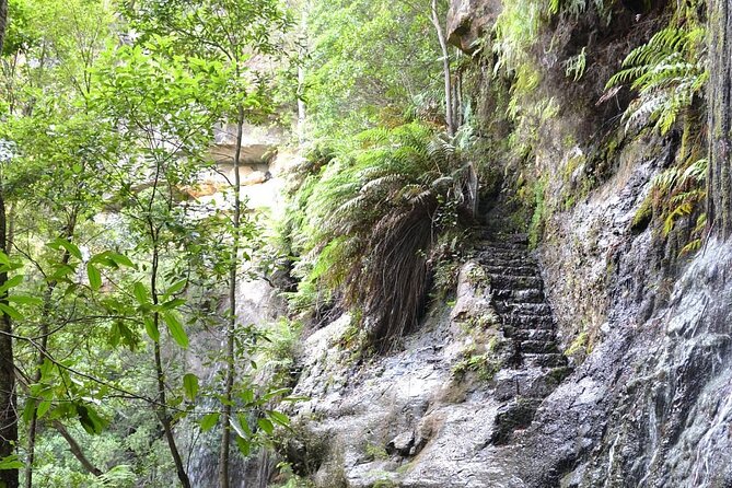 Self Guided Electric Bicycle Tour of Bundanoon - The one part that asks for respect: steep sections and the return uphill
