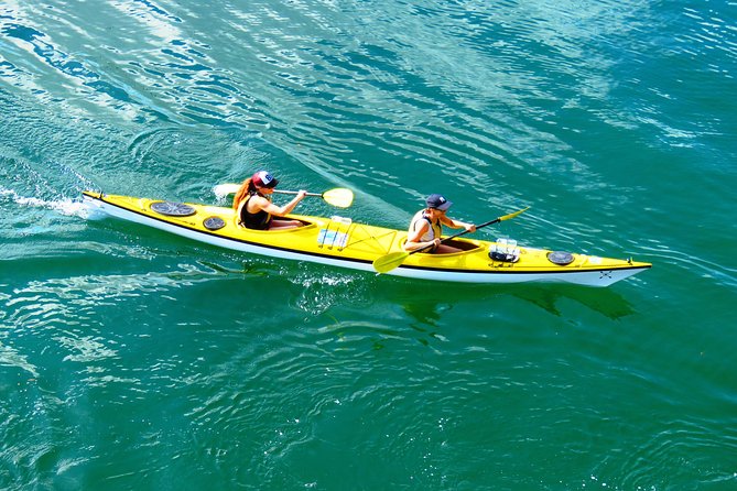 Self-Guided Sydney Middle Harbour Kayak 3 Hour Tour by Double Kayak - Key Points to Know Before You Go